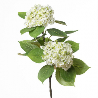 Ramo di ortensia con fiori, altezza 80 cm