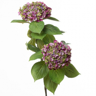 Ramo di ortensia con fiori, altezza 80 cm