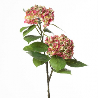 Ramo di ortensia con fiori, altezza 80 cm