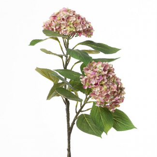 Ramo di ortensia con fiori, altezza 80 cm