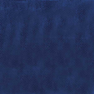 Tovaglia quadrata in tessuto non tessuto "Import" 100x100cm, cartone da 100 pezzi