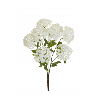Cespuglio fiori "Palla di neve", altezza 47 cm, vari colori