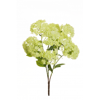 Cespuglio fiori "Palla di neve", altezza 47 cm, vari colori