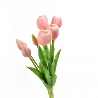 Mazzo di "Tulipano" con bocciolo, altezza 39 cm, vari colori
