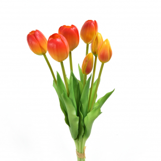 Mazzo di "Tulipano" con bocciolo, altezza 39 cm, vari colori