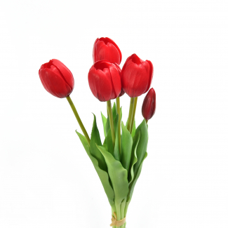 Mazzo di "Tulipano" con bocciolo, altezza 39 cm, vari colori