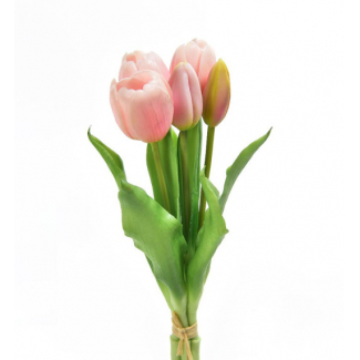 Mazzo di "Tulipano" con bocciolo, altezza 31 cm, vari colori