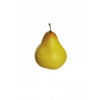 Pera gialla e verde con picciolo, altezza 8.5 cm, confezione da 6 pezzi