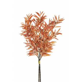 Fascio di "Podocarpus", altezza 49 cm, vari colori