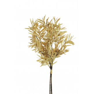 Fascio di "Podocarpus", altezza 49 cm, vari colori