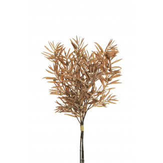 Fascio di "Podocarpus", altezza 49 cm, vari colori