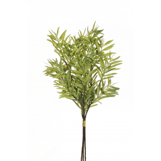 Fascio di "Podocarpus", altezza 49 cm, vari colori