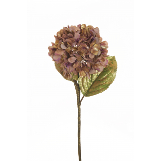 Ortensia singola con stelo e foglie, altezza 65 cm, vari colori