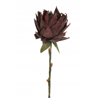 Fiore "Protea" con stelo, altezza 107 cm, vari colori