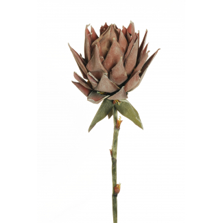 Fiore "Protea" con stelo, altezza 107 cm, vari colori