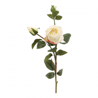Rosa con stelo e boccioli, altezza 64 cm, vari colori