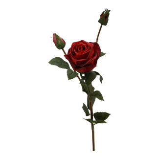 Rosa con stelo e boccioli, altezza 64 cm, vari colori