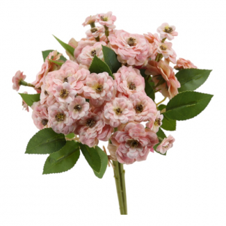Mazzo mini di rose selvatiche, altezza 30 cm, vari colori