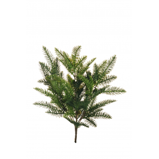 Cespuglio di "Pino" verde con pigne, altezza 50 cm