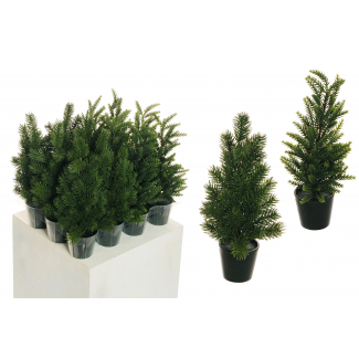 "Pino" mini verde in vaso, altezza 30 cm, assortiti