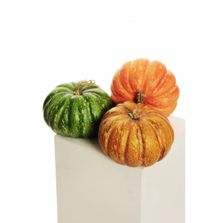 Zucca diametro 21 cm, altezza 16 cm, confezione in tre colori assortiti