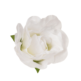 Rosa in TNT impermeabile bianca, varie misure