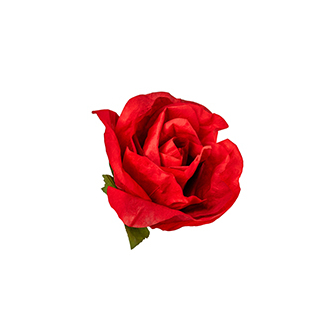 Rosa in TNT impermeabile rossa, varie misure