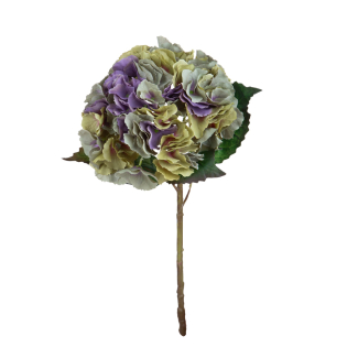 Ortensia singola con foglie su stelo, altezza 54 cm, vari colori