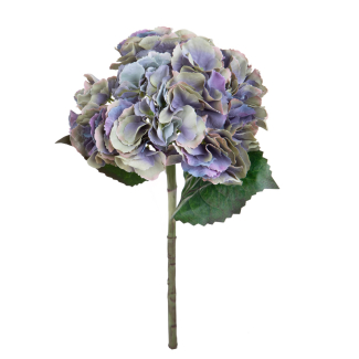 Ortensia singola con foglie su stelo, altezza 54 cm, vari colori