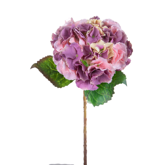 Ortensia singola con foglie su stelo, altezza 54 cm, vari colori