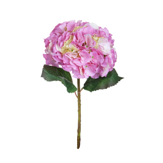 Ortensia singola con foglie su stelo, altezza 54 cm, vari colori