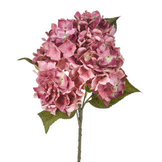 Mazzo di ortensia con foglie, altezza 57 cm, vari colori