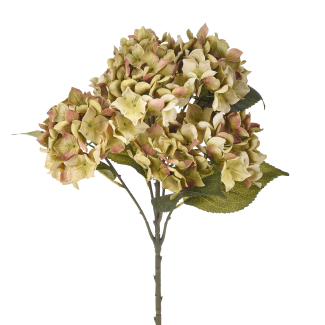 Mazzo di ortensia con foglie, altezza 57 cm, vari colori