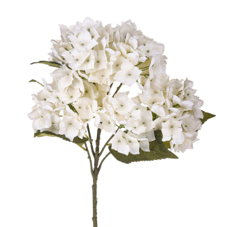 Mazzo di ortensia con foglie, altezza 57 cm, vari colori
