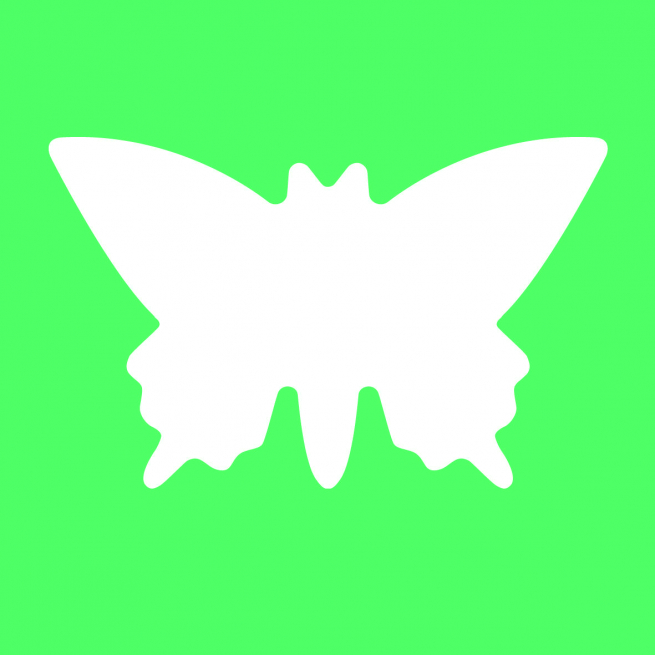 Fustella decorativa farfalla