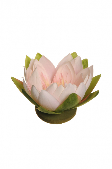 Ninfea galleggiante, diametro 16 cm, altezza 9 cm