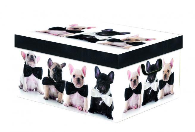 Scatola armadio con maniglie fantasia bulldog, formato 39x50 cm, altezza 25 cm