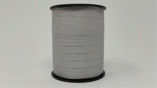 Rotolo nastro carta sintetica argento altezza 10 mm, in bobina da 250 mt
