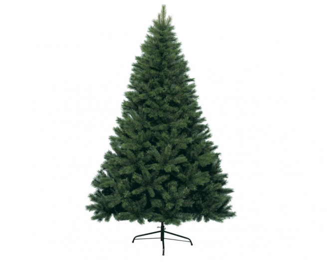 Pino "Canada" verde, altezza 240 cm, diametro base 150 cm