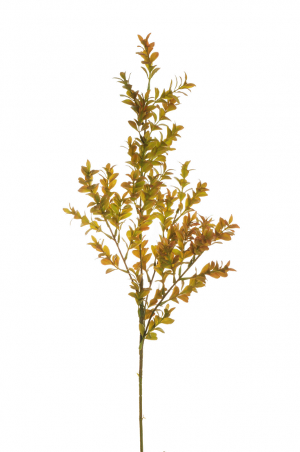 Ramo di mirto, altezza 83 cm