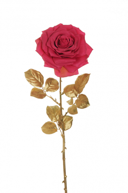 Rosa "Regina" con stelo, altezza 81 cm, vari colori