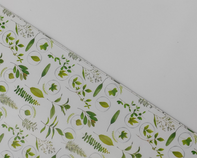 Carta da regalo base bianca, fantasia foglie verdi, formato 70x100 cm, confezione da 25 fogli