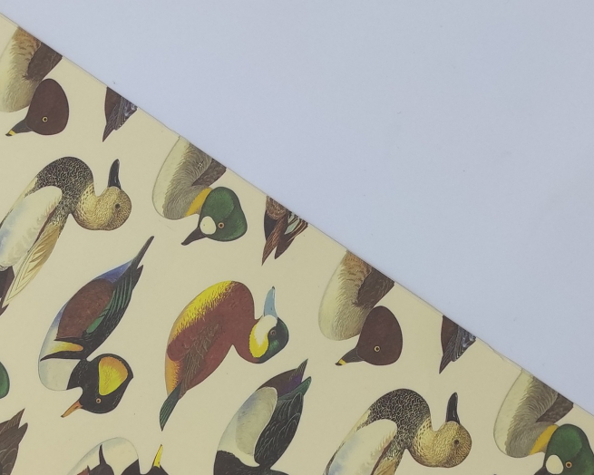 Carta regalo crema con papere, formato 70x100 cm, confezione da 25 fogli
