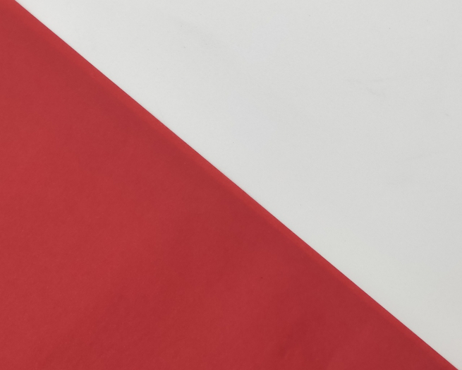 Carta velina formato 50x76 cm, confezione da 24 fogli