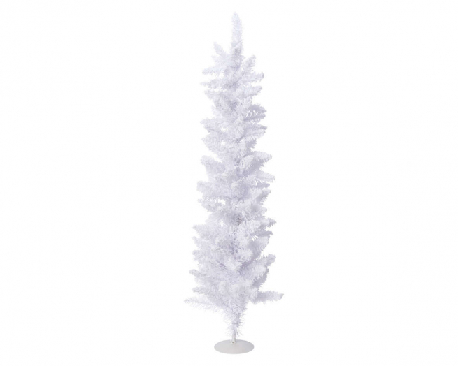 Pino "Pencil" bianco innevato, altezza 75 cm
