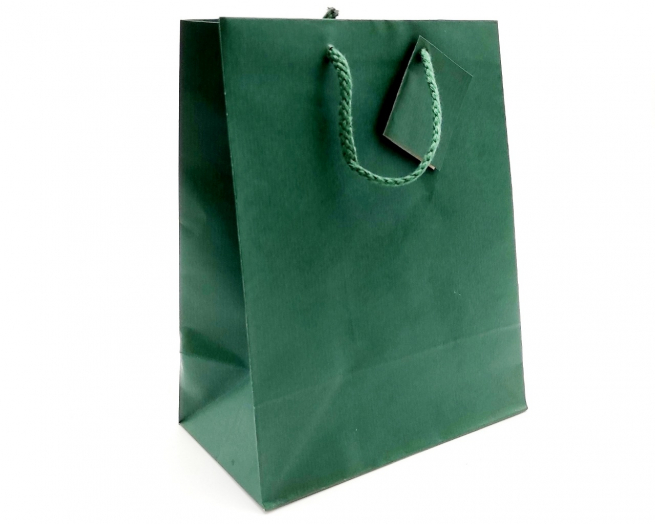 Shopper in carta sealing verde, formato 18x22.7 cm, maniglia in cotone, confezione da 12 pezzi