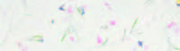 Carta Kozo floral foglie e rametti fondo bianco, formato 55x80 cm, confezione da 10 fogli