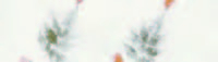 Carta Kozo floral fiori e foglie fondo bianco, formato 55x80 cm, confezione da 10 fogli