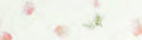 Carta Kozo floral rami e fiori fondo bianco, formato 55x80 cm, confezione da 10 fogli