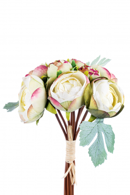 Bouquet 9 ranuncoli verdi, altezza 36cm